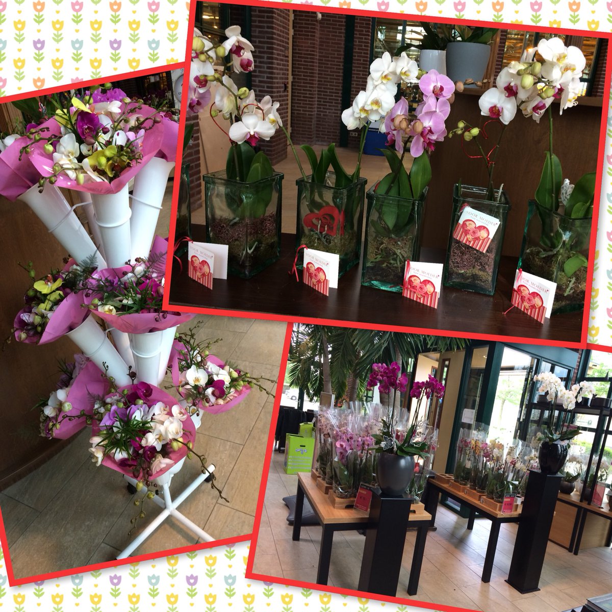 Levo Shop tweet media