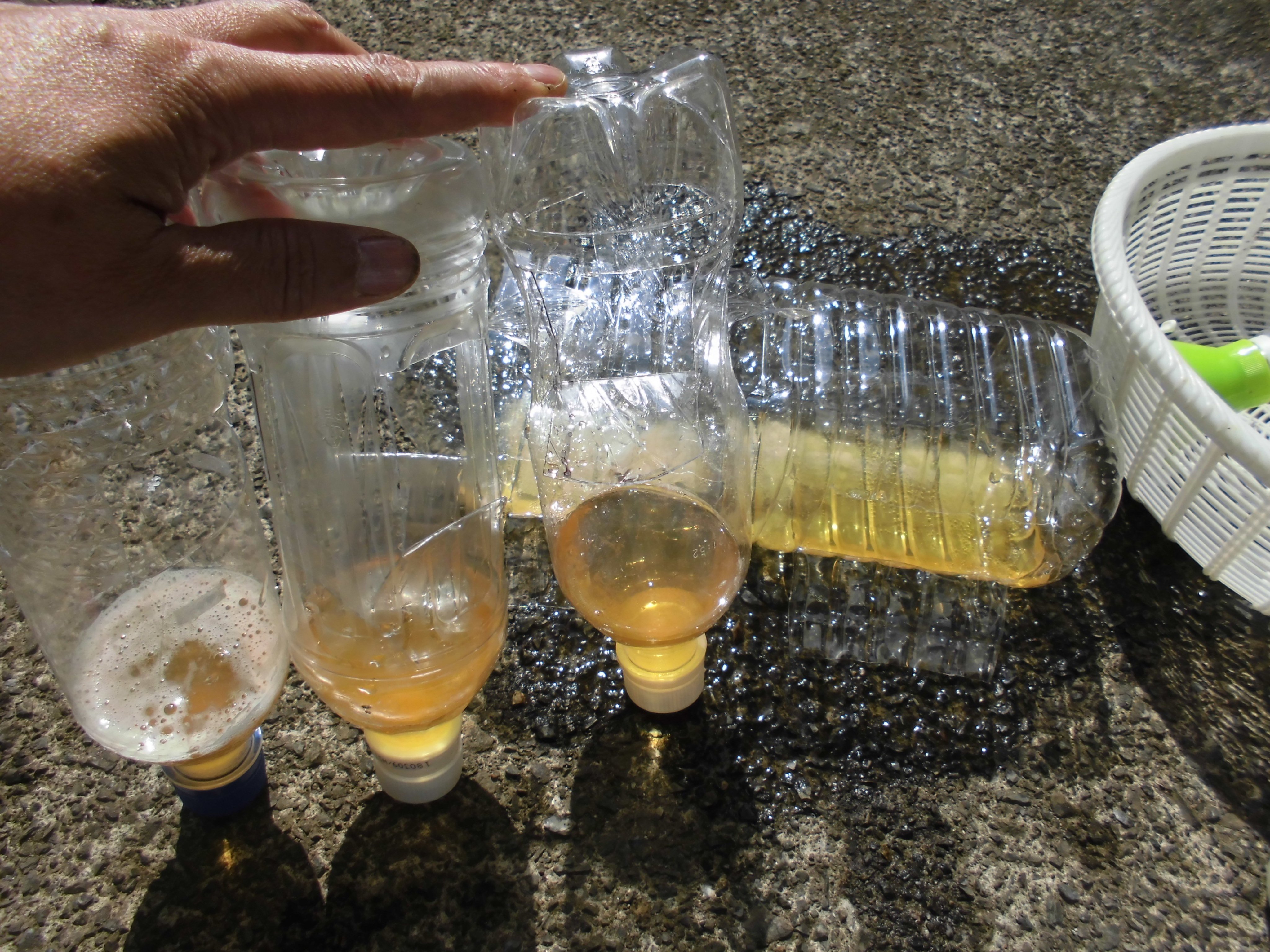 うさ On Twitter Yasan552 スラゴってオーガニックなナメクジ剤なんですね ビールより断然効きそう 比較実験の結果 ぜひお知らせ下さいね オオクビキレガイって外来種のカタツムリなんですね 見たことないですけど やっかいですね Twitter