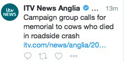 wildscribbler1's tweet photo. โฆ and in other news. I despair, I really do. #RTA #AcleStraight https://t.co/loLMVaCR3C