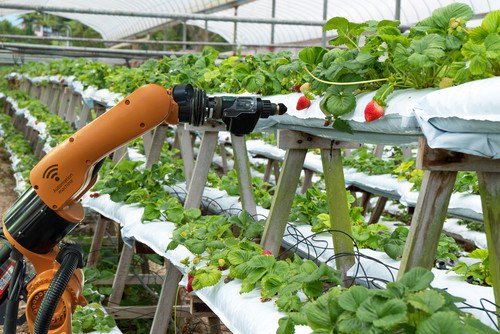 Agri_Tech_2018's tweet photo. “#Reinventing #Societal #Infrastructure with #technology -- > #food &amp; #agriculture" 
Click onto this Link, https://t.co/pJMGP9a09C  to Know More.
Submit #Abstract @ https://t.co/zcL3ebGI7c 
#Agriculture #agricultural #Food #biodiversity #Conferences #Meetings https://t.co/9XmdNkmgz4