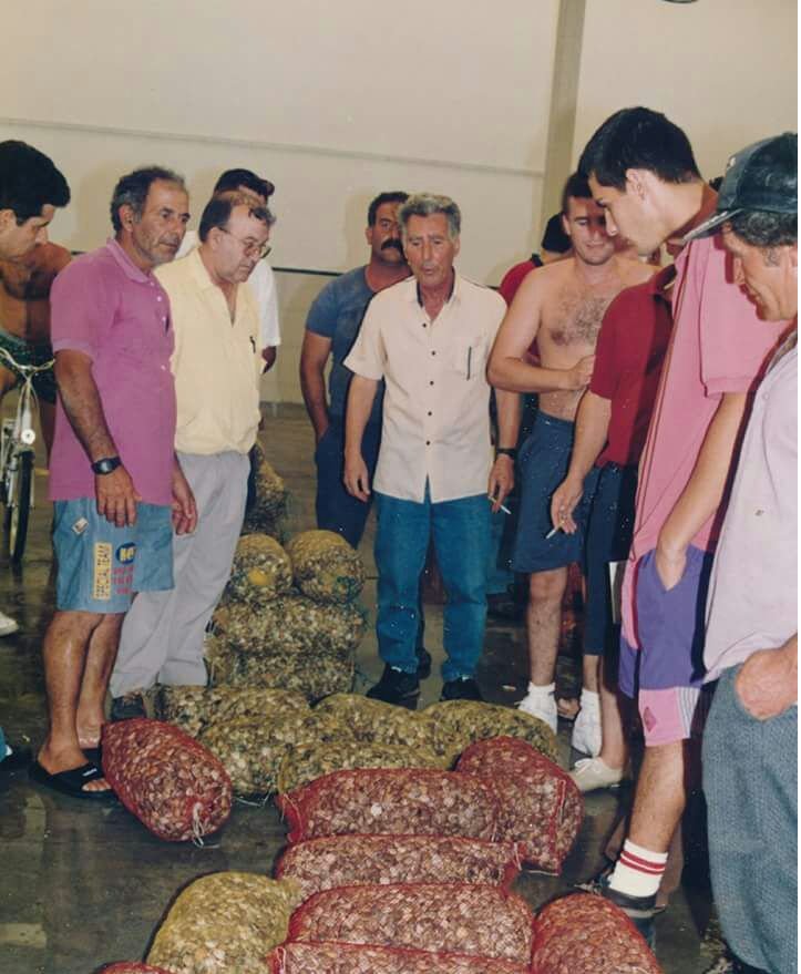 Mariscoscdlaluz's tweet photo. Así era la subasta de chirla en #lonja #puntaumbria hace 50 años.
#curiosidadesdeHuelva   🧐 https://t.co/THOqJfWreZ