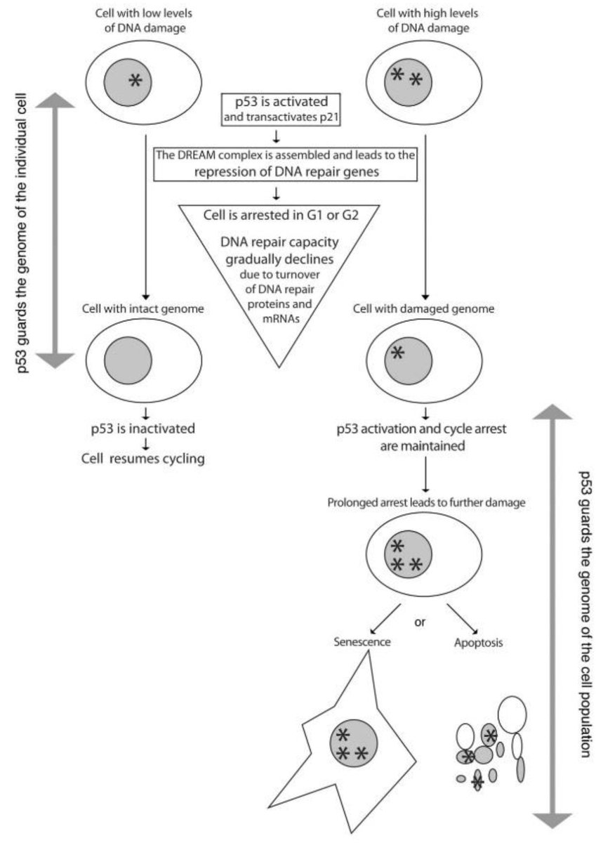 global intelligence oversight governing security