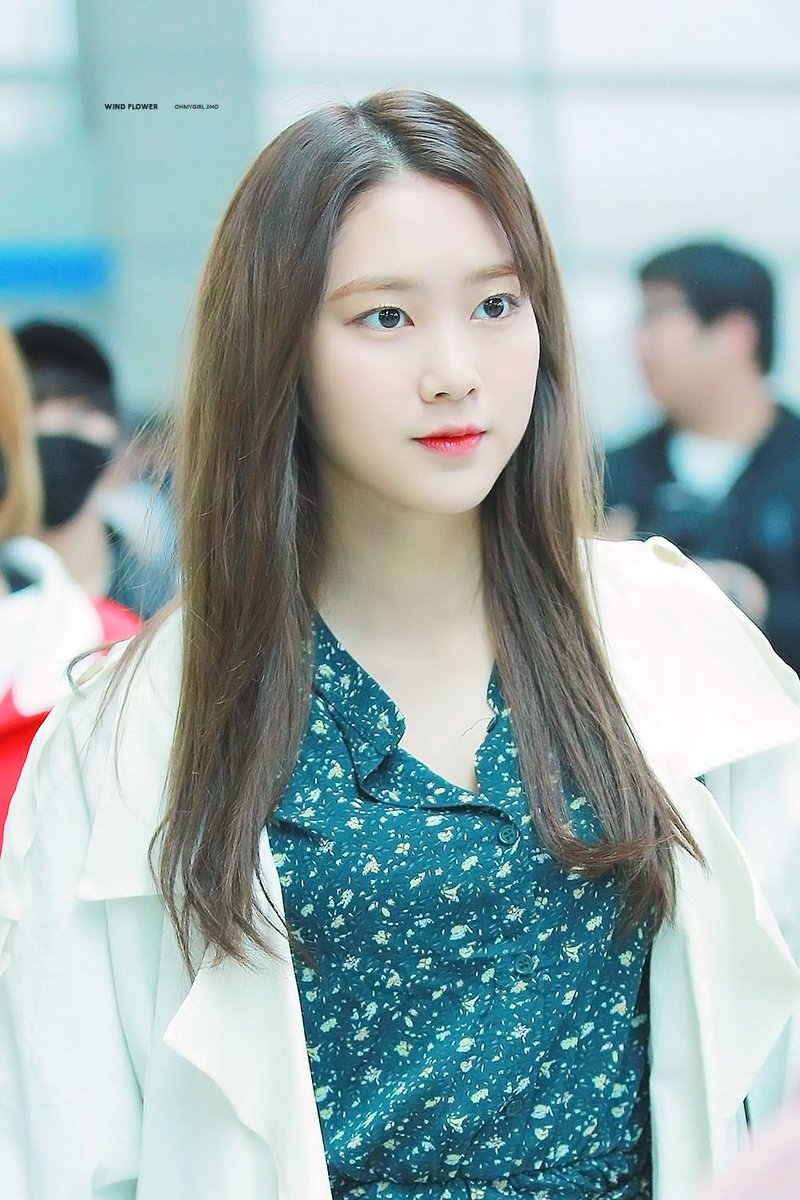 wind flower tweet media