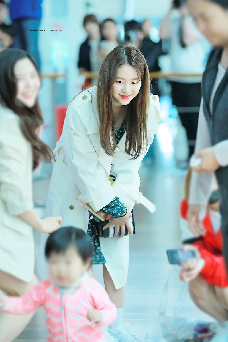 wind flower tweet media