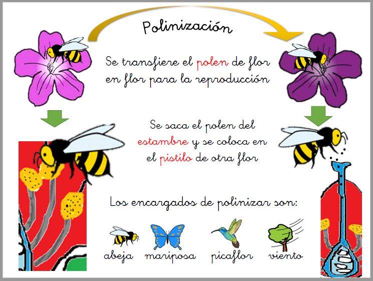 José Manuel Marcos tweet media