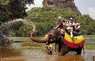 ExoticSapphire's tweet photo. Is Sri Lanka 🇱🇰 on your Bucket List? 😍 🌳
https://t.co/CNz2SLReyb

#SriLanka #paradiseisland #travelplan #summervacation #maketherightchoice #roundtour #enjoytravellife #experiencethebest #leavefootprints #takememories https://t.co/70pLOFzvGo
