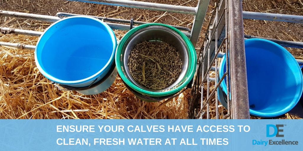 Ensure your calves have access to fresh, clean water at all times. In this warmer weather they will drink more water to keep cool. If you need any calf rearing advice, call one of our calf specialists on 07508 136409
#TuesdayTips #CalfRearing #DairyExcellence #TeamDairy