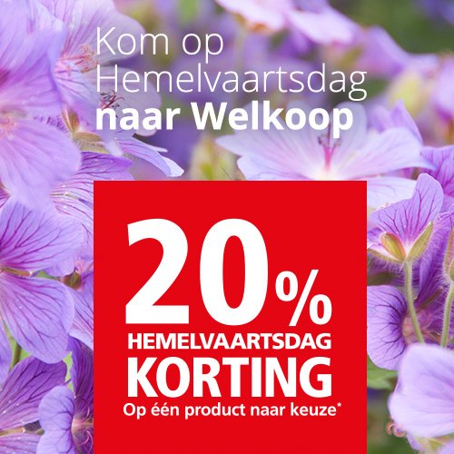 Kom je ook naar één van onze winkels vandaag? bit.ly/2wrDEkt  #korting #hemelvaart #welkoop #kortingsbon