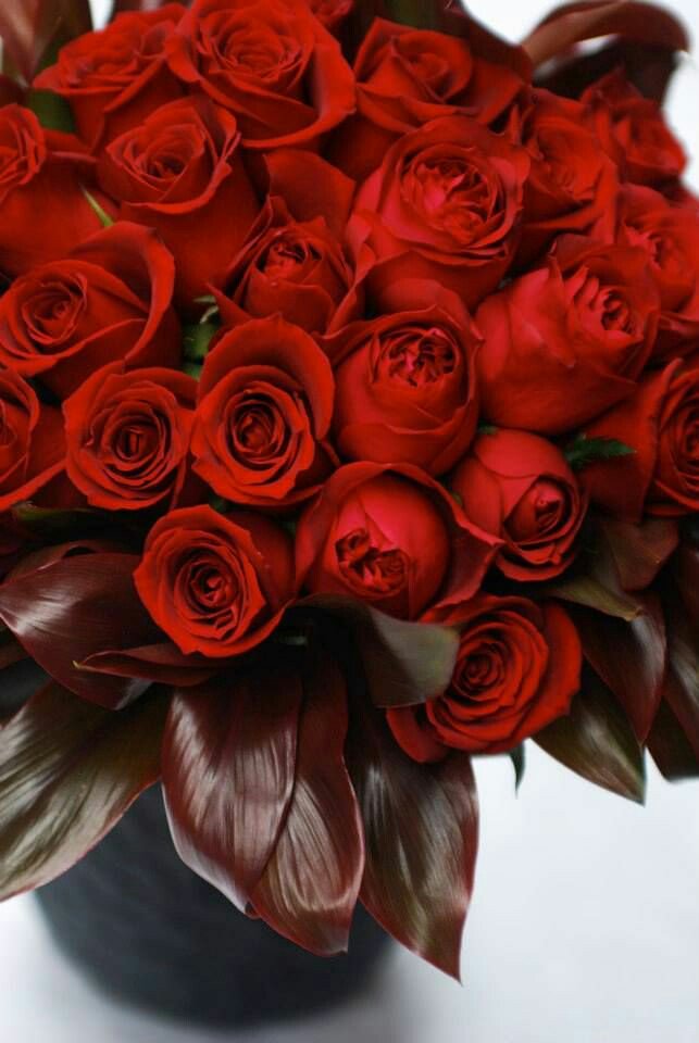 ZnVYZlceLV3Z2Fp's tweet photo. سبحان من أيقظ العيون بعد المنام سبحان من أضاء الكون بعد الظلام سبحان من اكرمنا بنعمته الاسلام
صباح الخير… https://t.co/nFV1OZiSFx