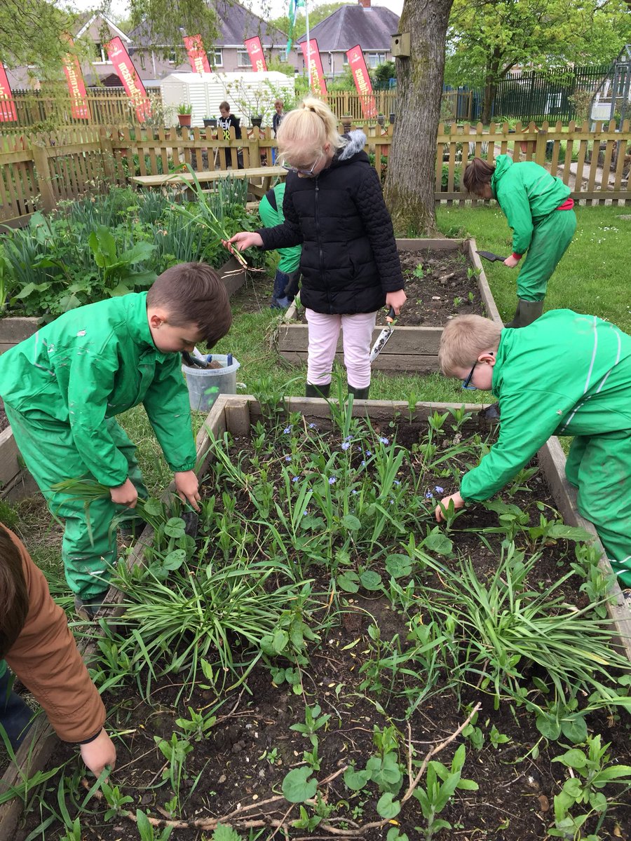 CraigfelenP's tweet photo. With our garden projects well under way we would really appreciate any donations of flowers and shrubs for our garden #cfpcomm https://t.co/YEJ3fbZ0jN