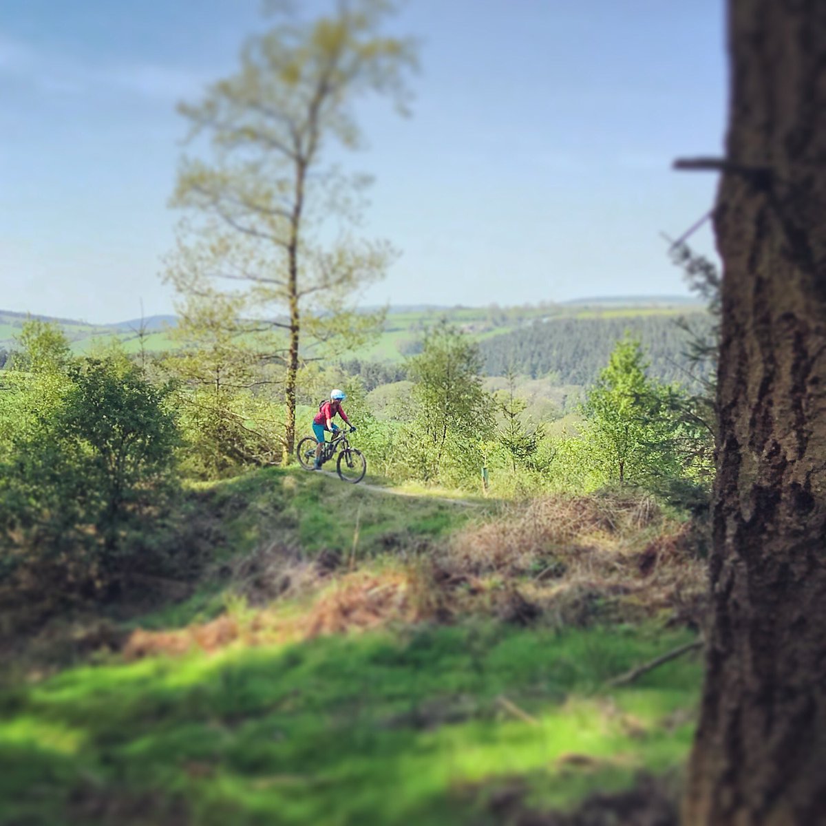 mtbcymru's tweet photo. Rise and shine, another beautiful day for a ride... #justride #mtb #cycling #ridemadison #adventure #mountainbike #outdoors https://t.co/bh619c0xhk