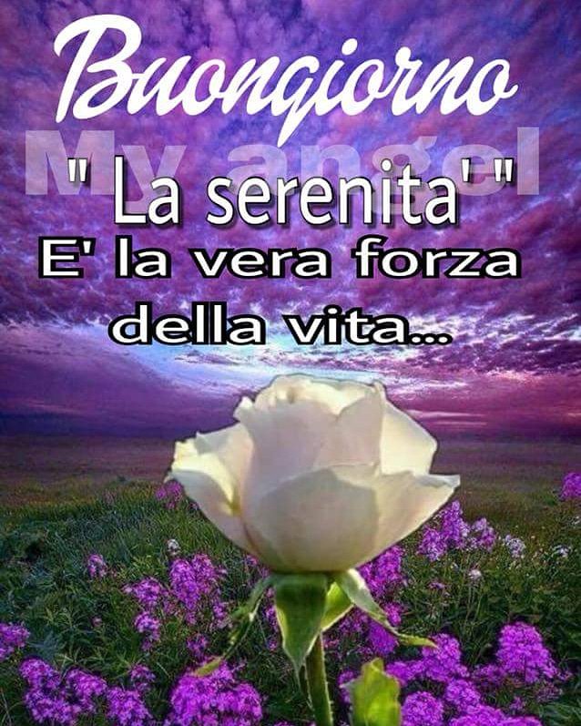 Sev0511's tweet photo. #10maggio... #buonagiornata https://t.co/0st9Xhtagj