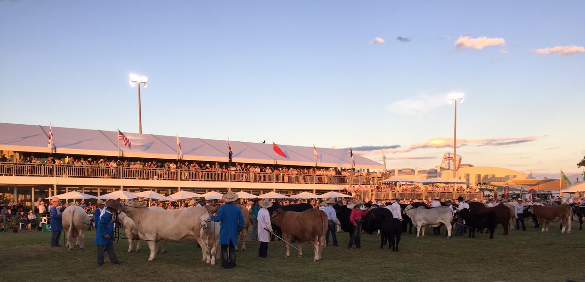 As sun sets at #BeefAus2018 a new page of history is being written #ChampionofChampions