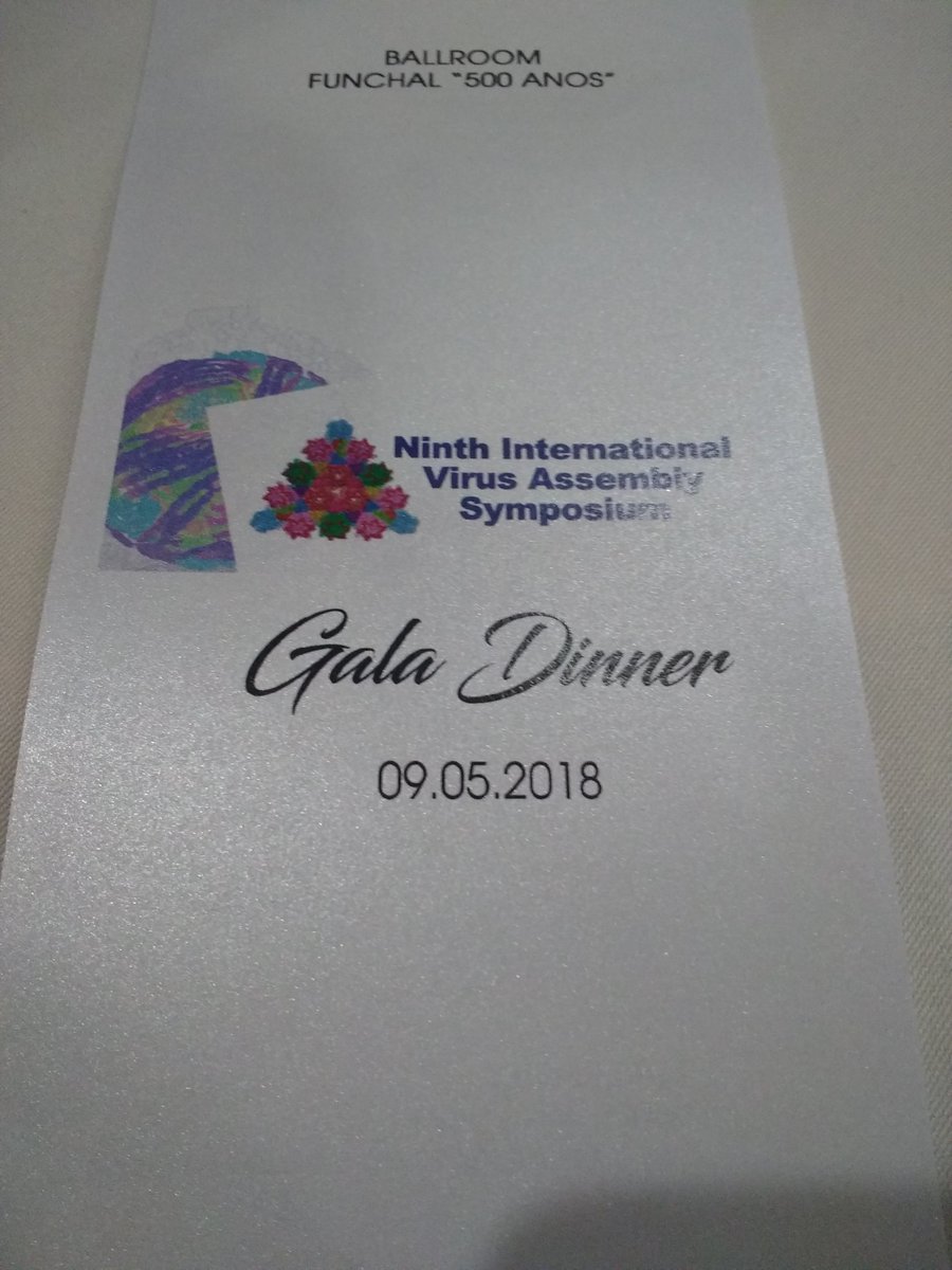 LeeSherry4's tweet photo. Final day of the fantastic #virusassembly meeting, although a somewhat quieter morning session following the gala dinner https://t.co/4xizGBwz7M