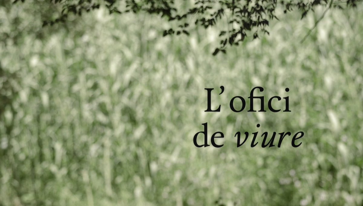 LOficiDeViure's tweet photo. Molt i contents 🎉🎊. Torna @LOficiDeViure a @tv3cat 📺. No et perdis la segona volta del nostre programa!

A partir de diumenge 2⃣0⃣ de maig, a les 23.30h 😊 https://t.co/82wlrB2PFf