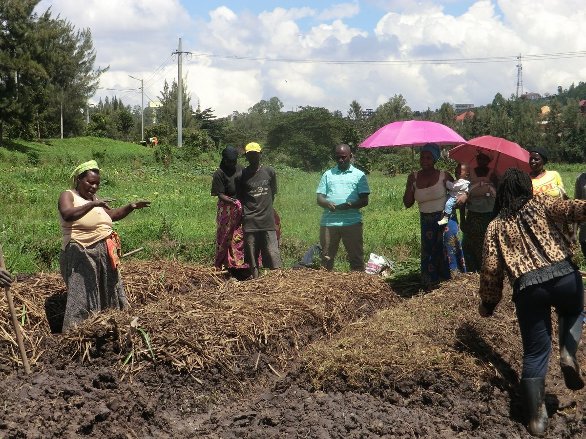 Rwanda_SMAP's tweet photo. SMAP team has conducted monitoring of #RAB_SMAP  activities in Kigali target horticulture cooperatives. Farmers  understood well importance of making nursery bed in vegetable  cultivation and they do it well. @rwanda_smap @RwandaAgri @RwandaAgriBoard @Nyarugenge @GasaboDistrict https://t.co/EtWT16tHDg
