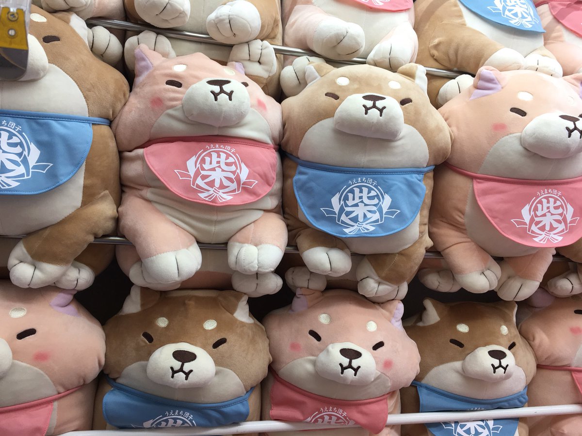 モナコ川越プライズ 忠犬もちしばぷんぷんbigぬいぐるみ さくらともなかが入荷しました とてももちもち柔らかくてきもちいのでぜひみなさんもかわいいさくらともなかをgetしてみてくださいね もちしば さくら もなか T Co S8vbtveinh
