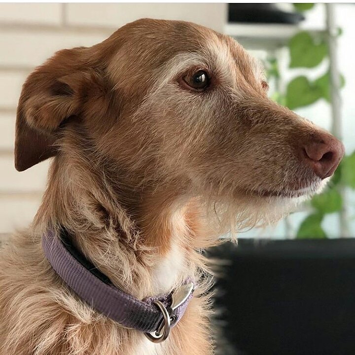 Bella (@inma37410941) on Twitter photo 