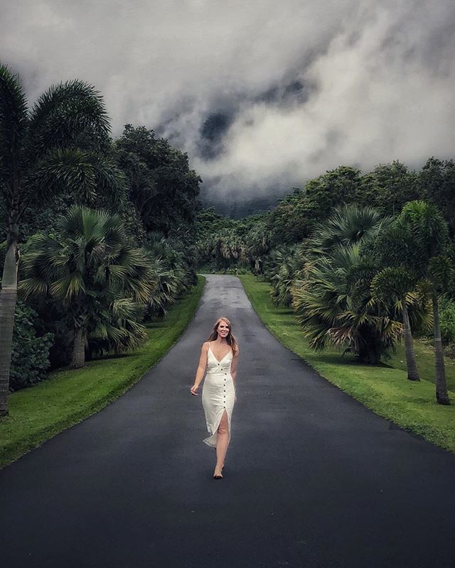 jfabs's tweet photo. Dang you’re cute, @slingshotking 
#wcw .
.
.
#aloha #kaneohe #koolaus #hoomaluhia #hawaii #islandlife #hilife #iphonex #iphone #shotoniphone #oahu #love https://t.co/w2M5r3m4Je https://t.co/dtPgeOO3WV