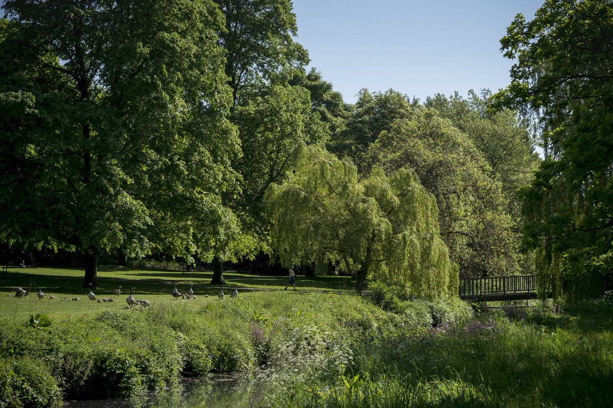 Spend a day at YSP walking, thinking, talking and gaining some insight into the things that are on your mind at Room to Breathe on 19 May ysp.org.uk/events/room-to…