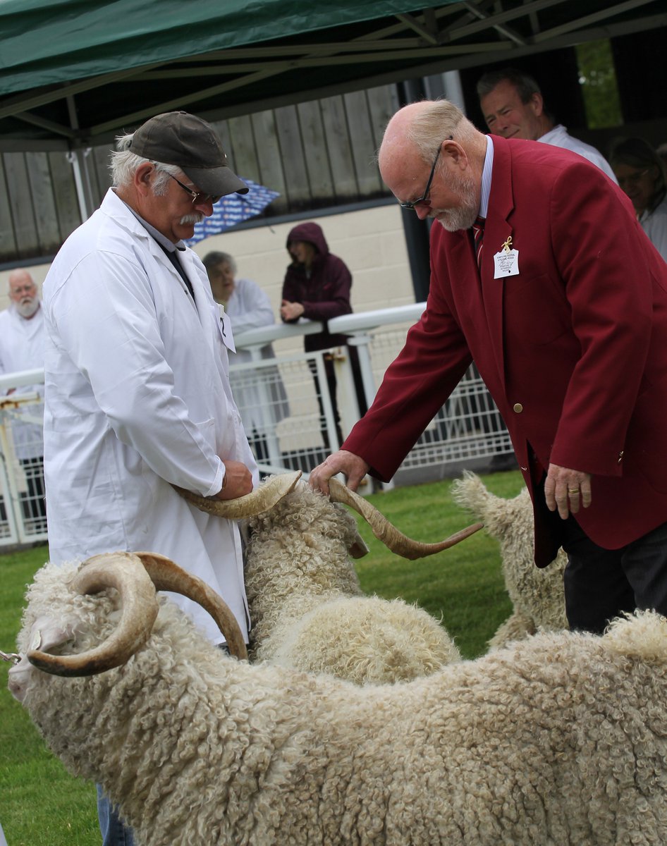 royalwelshshow's tweet photo. We're looking forward to welcoming over 1,800 Livestock and Horse entries to this year's #SpringFestival!
#9daystogo https://t.co/vaoLuLNC2h