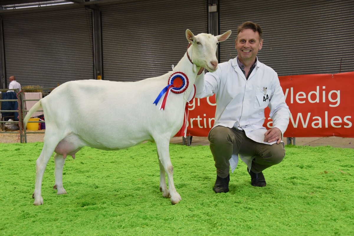royalwelshshow's tweet photo. We're looking forward to welcoming over 1,800 Livestock and Horse entries to this year's #SpringFestival!
#9daystogo https://t.co/vaoLuLNC2h