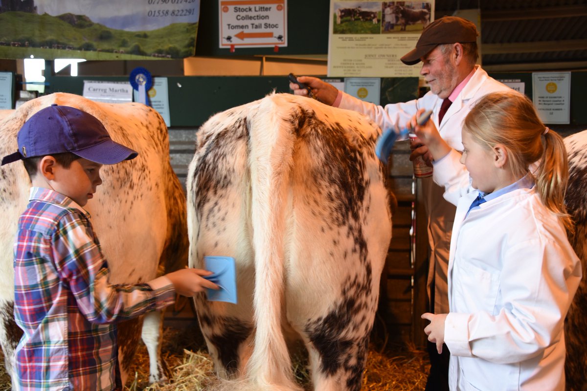 royalwelshshow's tweet photo. We're looking forward to welcoming over 1,800 Livestock and Horse entries to this year's #SpringFestival!
#9daystogo https://t.co/vaoLuLNC2h