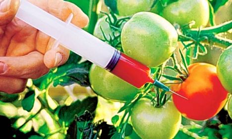 Agri_Tech_2018's tweet photo. #Biosafety of #foods derived by modern #Biotechnology -- > #production and #Processing #Technologies form a continuum of allied #biotechnologies which trace back to the beginnings of #agriculture. 
Ps. https://t.co/pJMGP9a09C 
#agritech #conferences #meetings https://t.co/m3FUJ5zSZS