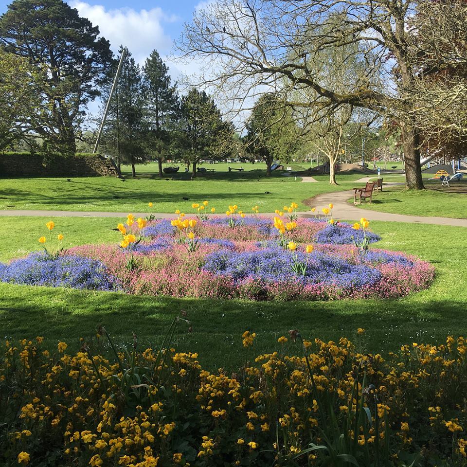 ILoveCornwallUK's tweet photo. Good morning from Cornwall! Boscawen Park in Truro has some beautiful spring colours at the moment and the sun is shining! π³πΈβοΈ
#CornishSpringTime #LoveCornwall https://t.co/jbuCOWh6Vc