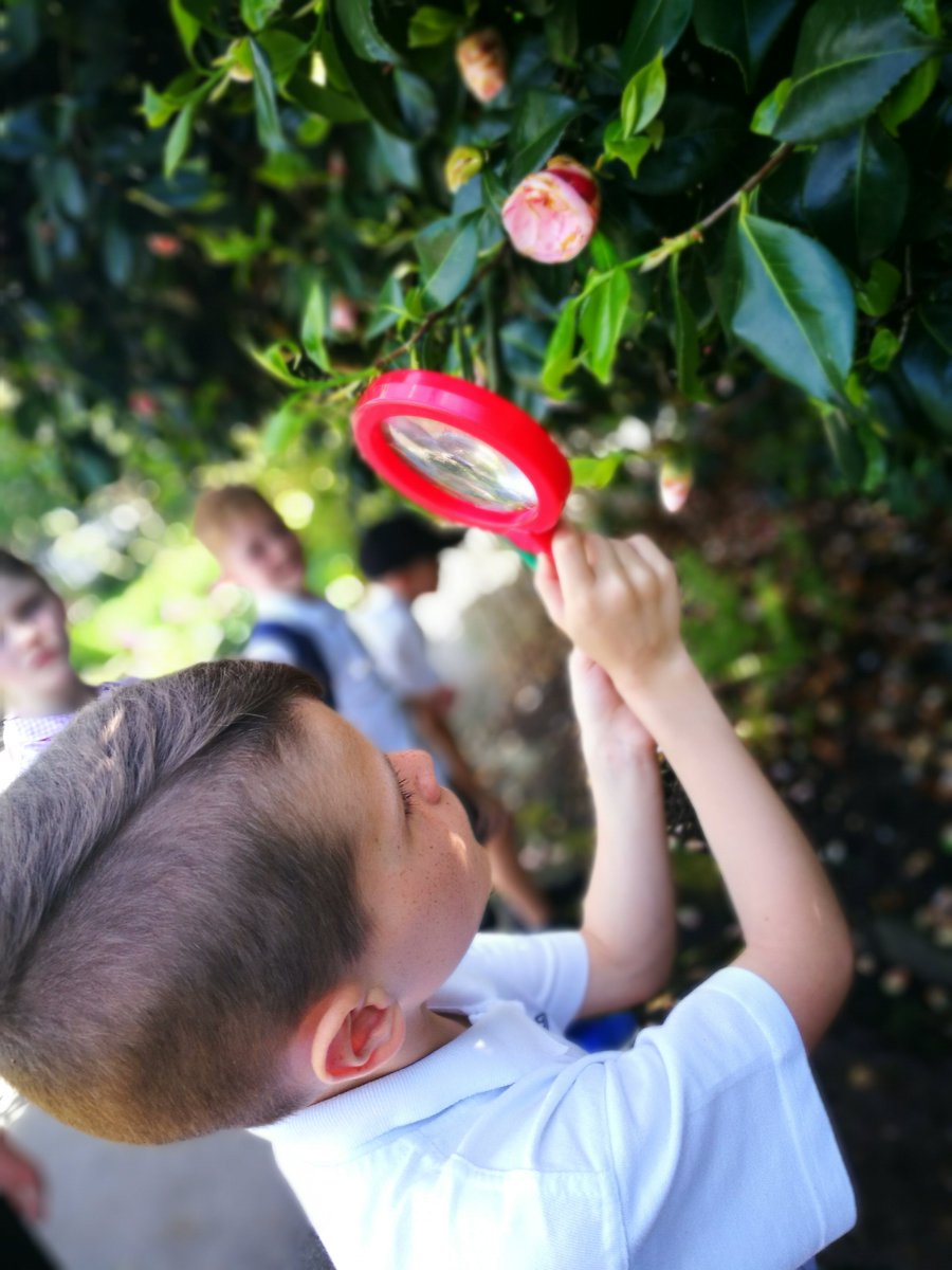 EdwardsHallPri's tweet image. Year 3 had an incredible day at Kew yesterday for their theme, &apos;English Country Garden&apos;.  #RealLifeLearning #PayingAttentionToDetails #MaintainingFocus #NewExperiences @kewgardens