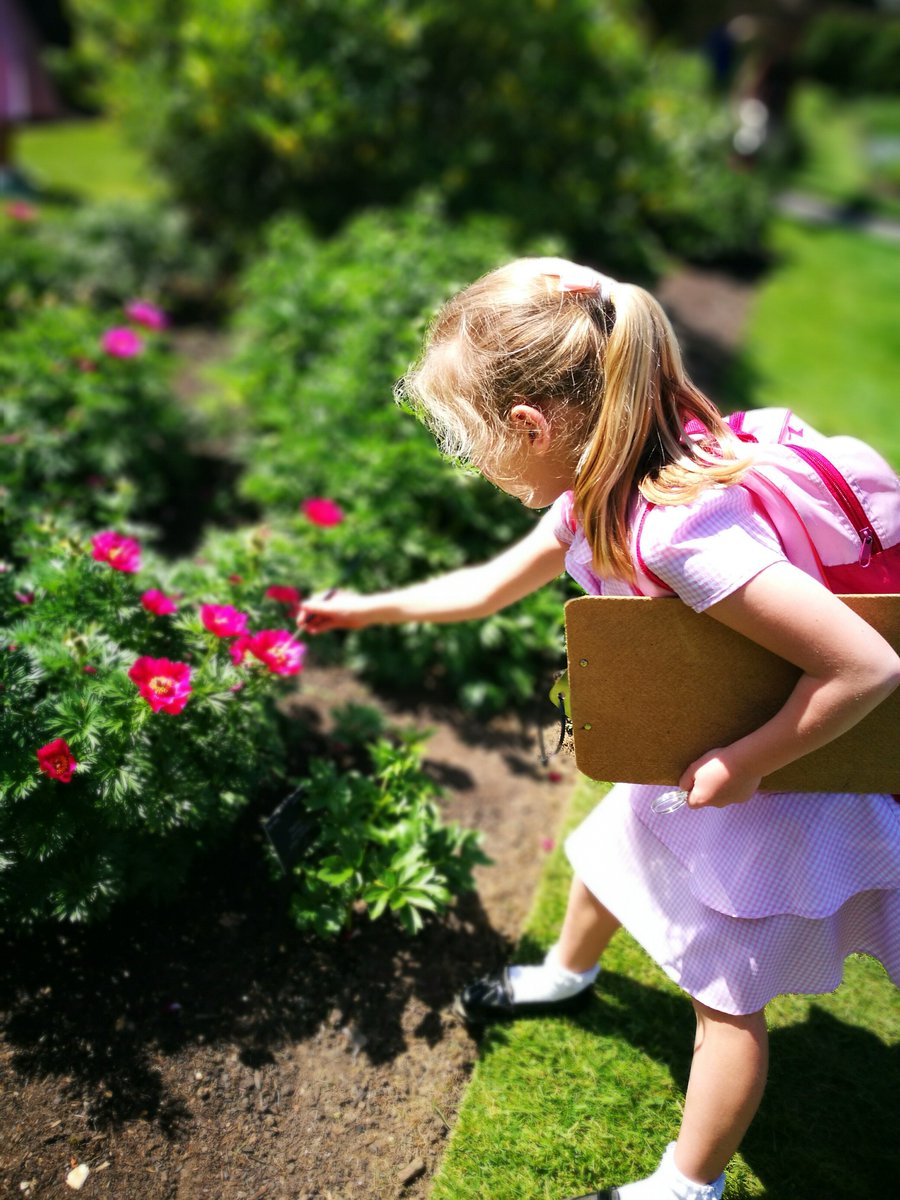 EdwardsHallPri's tweet image. Year 3 had an incredible day at Kew yesterday for their theme, &apos;English Country Garden&apos;.  #RealLifeLearning #PayingAttentionToDetails #MaintainingFocus #NewExperiences @kewgardens