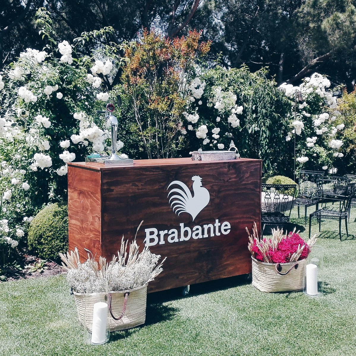 BrabanteCerveza's tweet photo. Siempre presentes... #MomentoBrabante #Brabante #Rooster #Eventos #Cerveza https://t.co/V3RRMj0Adu