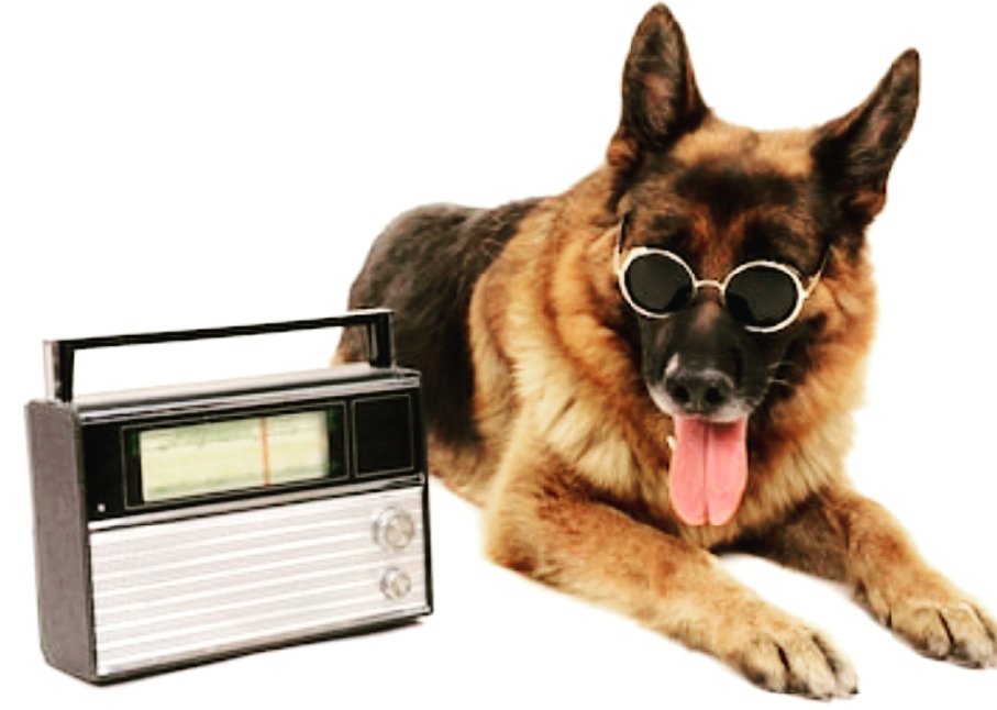 We are on the radio today! Listen to us today from 10am on Radio Verulam <a href="/radioverulam/">radioverulam</a> #StAlbans 9th June <a href="/InnonthePark1/">InnontheParkStAlbans ☕️</a> for our Doggy Cafe Royal Tea Party, to celebrate the Queen's official Birthday. #dogsofttwitter #Hertfordshire