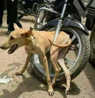 NadendlaTharun's tweet photo. మోడీ వలలో చిక్కుకున్న జగన్ &amp; పవన్ పరిస్థితి కూడా ఇదే https://t.co/9O8hz652ow