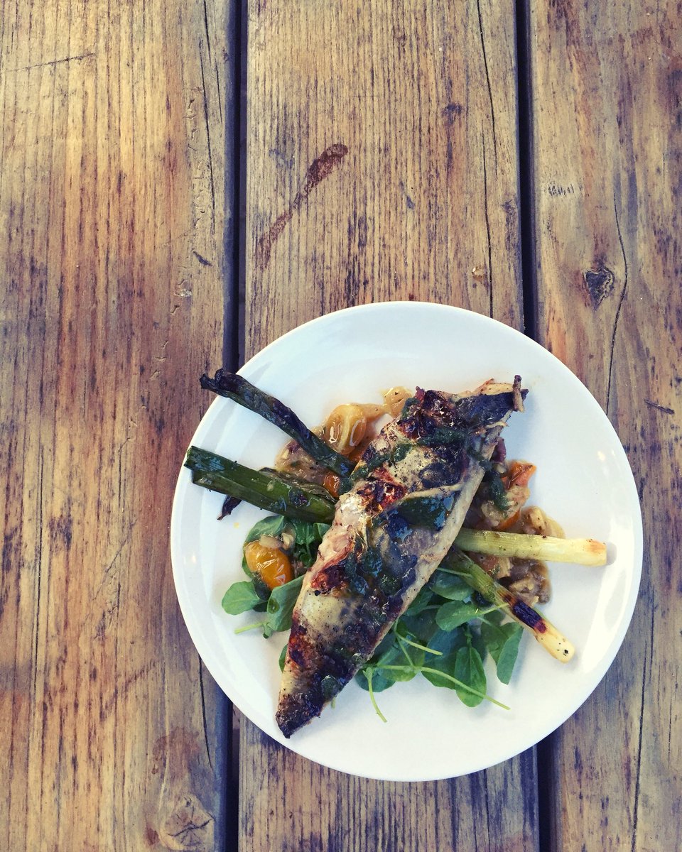 Grilled #mackerel, charred spring onion, sauce vierge, #nettle oil. Our favourite dish on last night’s Feast over Fire event in collaboration with John and Kerstin at <a href="/GooseberryField/">Gooseberry Glamping</a>. Looking forward to being back on the 6th June - keep an eye out for menu and booking!