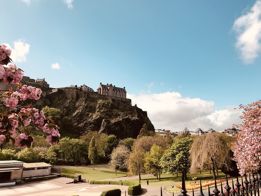 Calum Cowe tweet media