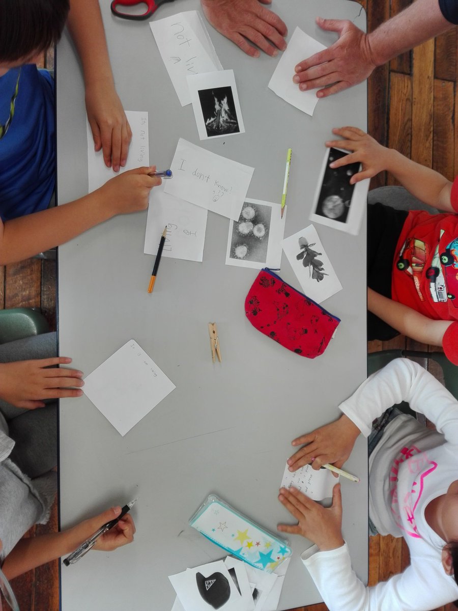 MsRachelCouture's tweet image. Living &amp;amp; non-living things sort. What makes you say that? At reflection time we shared our thinking and sorted as a class. We even have a &quot;don&apos;t know yet&quot; pile. Finally, we created a checklist that living things must have/do. This may change as our learning grows. #learningatkis