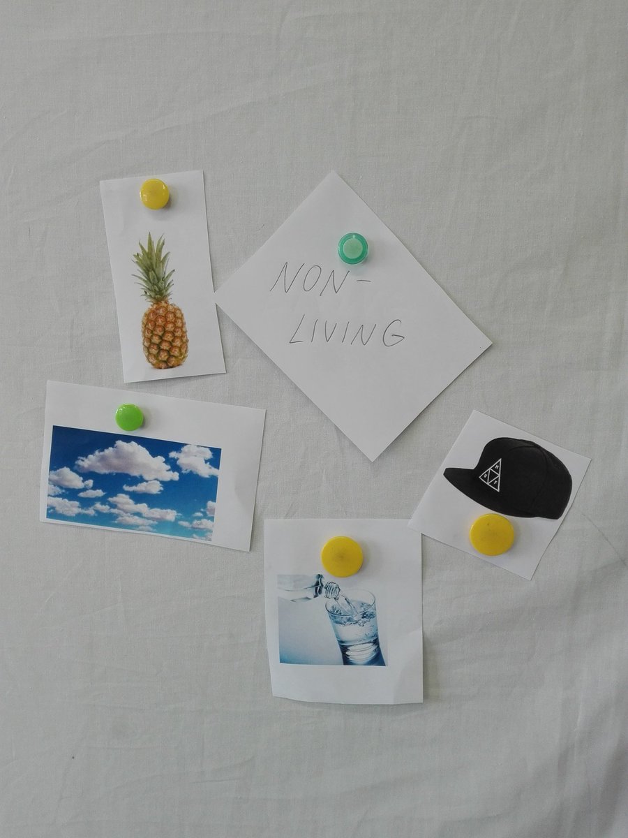 MsRachelCouture's tweet image. Living &amp;amp; non-living things sort. What makes you say that? At reflection time we shared our thinking and sorted as a class. We even have a &quot;don&apos;t know yet&quot; pile. Finally, we created a checklist that living things must have/do. This may change as our learning grows. #learningatkis