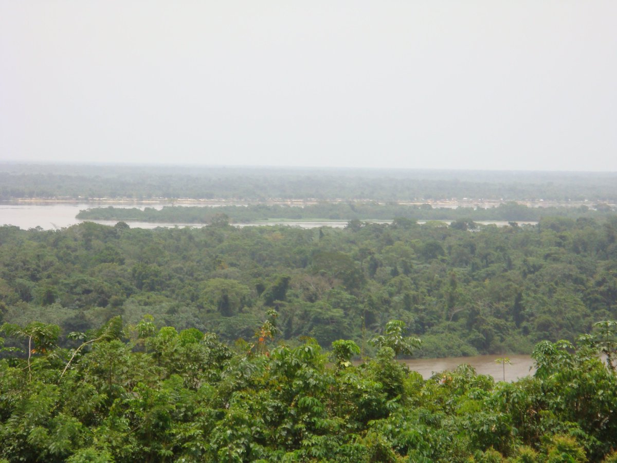 frode_kirk's tweet photo. While #RiverCongo transmits #epidemics, especially #Cholera, in other contexts it can also protect threatened species. 100.000 #DRCongo #RedCross #volunteers have adapted to these difficult working conditions. https://t.co/t4OujJNCkc