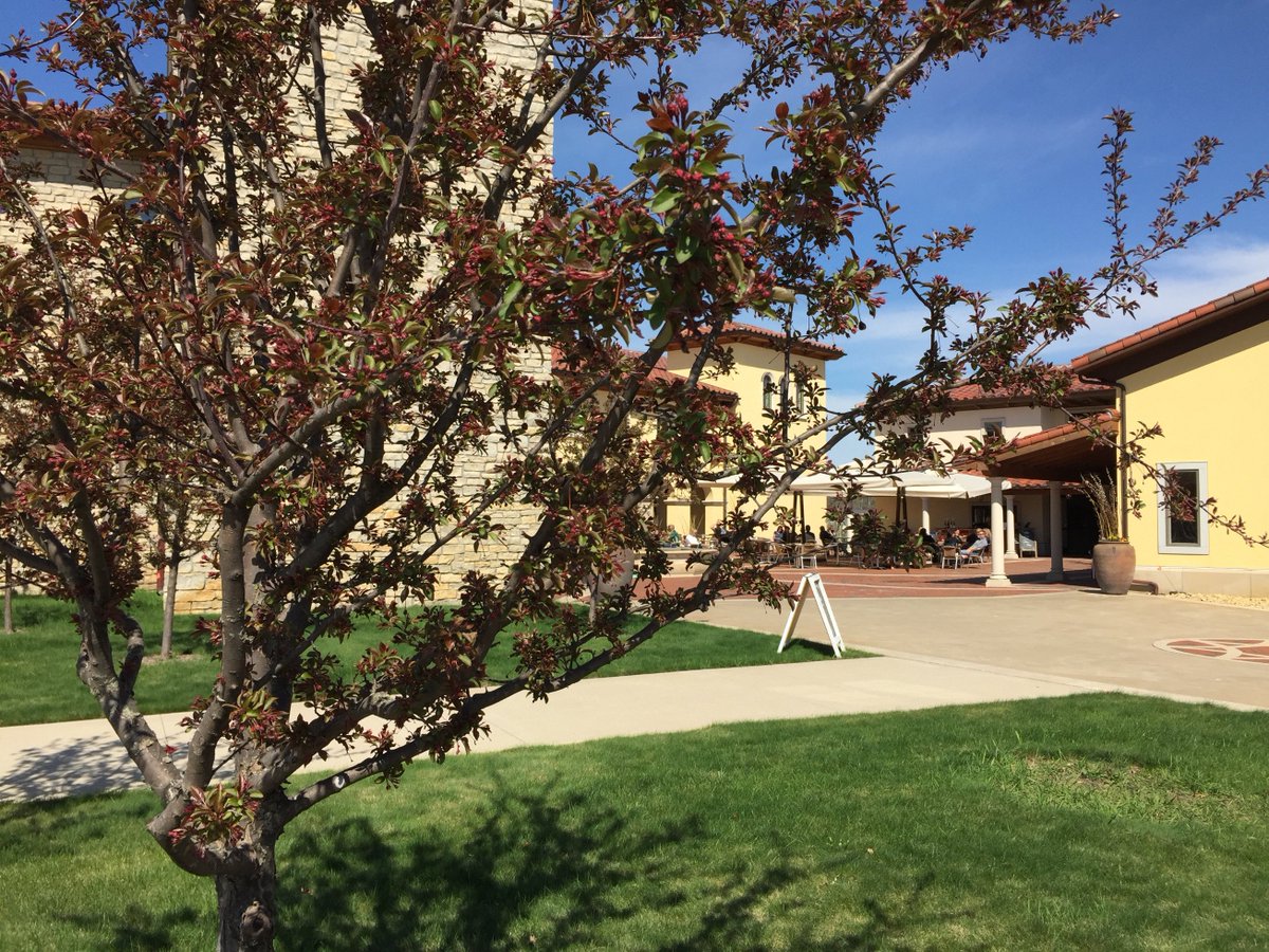 The forecast looks amazing! Join us for Mother's Day Brunch on Sunday. We're taking reservations for ALL size groups. Enjoy a delicious country Italian spread plus vineyard views and Italian-inspired architecture. Details: villabellezza.com/Events/Upcomin… #MothersDayBrunch