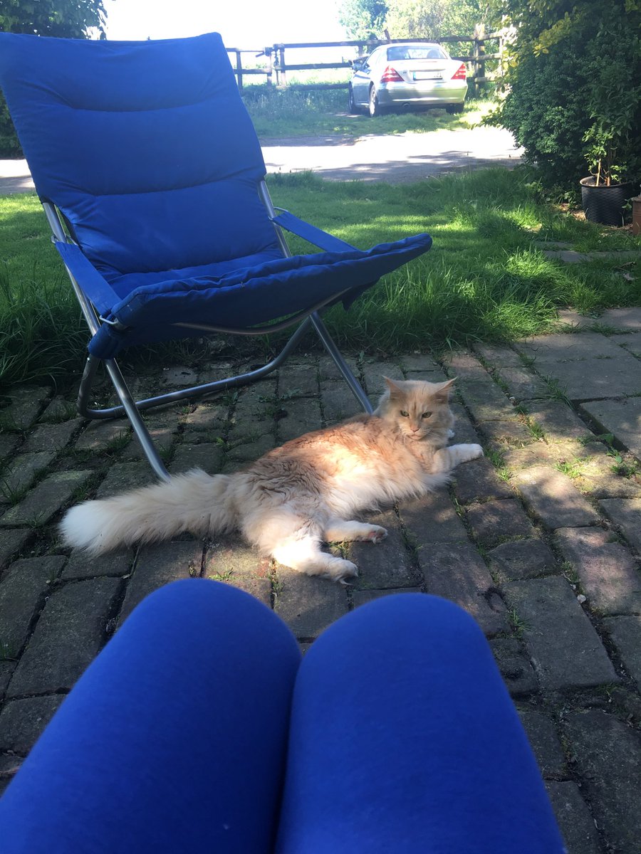 topptina's tweet image. Sometimes blue is a nice colour. But only sometimes 😅 #gartentweet #wrongcolour