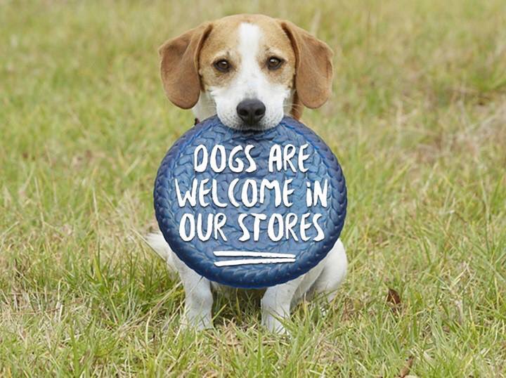 GO Outdoors Leeds (@go_leeds) on Twitter photo 