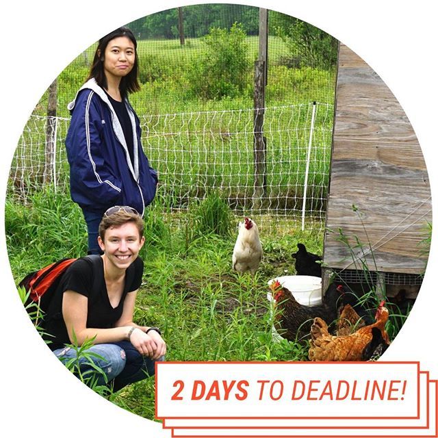 EcoPracticum's tweet photo. Countdown to deadline! Details here: https://t.co/y3NtvWjfeW (and link in our bio). Eco Practicum Catskills an immersive educational experience for people interested in delving deep into #ecology, #economy, and #socialjustice. Program runs June 10-16. App deadline May 11.
.
.
.… https://t.co/JHI062Fd2j