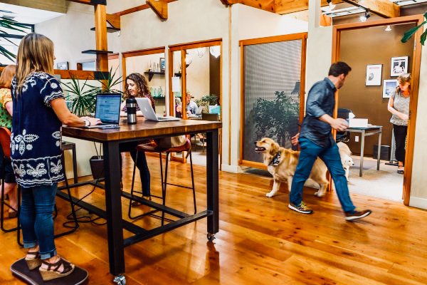Glimpsei's tweet image. If you're in the U.S. and Love working at your company ~ Apply @outsidemagazine to feature in their 2018 'Best Places to Work' outsideonline.com/2304201/apply-… #ActiveWorking #SitStandMove #WorkplaceWellness