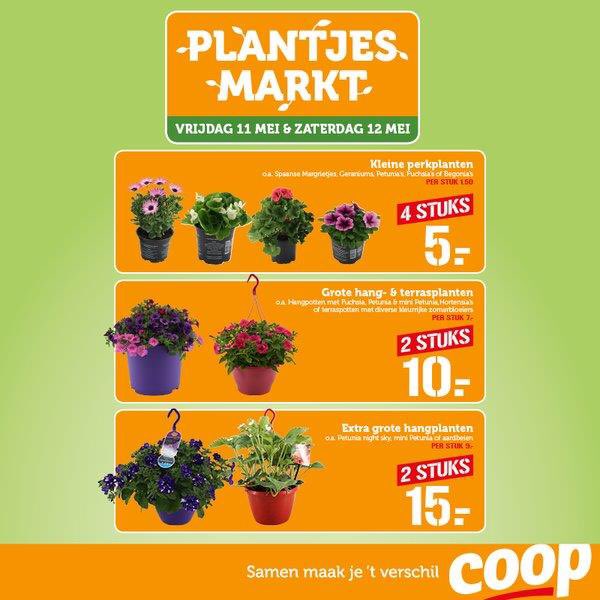 Coop de Westereen (@coop156) on Twitter photo 