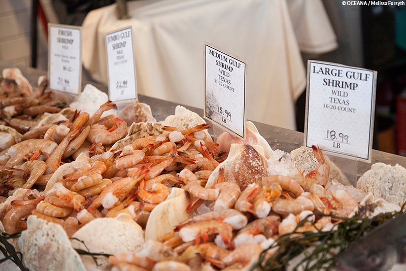 oceana's tweet photo. Seafood is a popular food internationally, yet consumers are routinely given little or no info about the seafood they eat. 

In a seafood fraud report from Oceana, it was found that 30% of shrimp samples were misrepresented. Learn more: https://t.co/ozv1V62Xyr #NationalShrimpDay https://t.co/5vdYlsWIRx