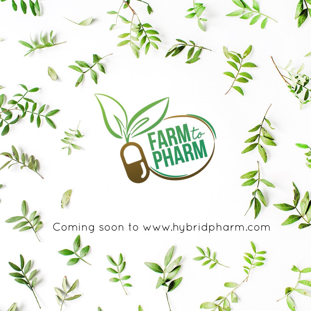 hybrid_pharm's tweet photo. Our goal with #FarmToPharm is to showcase the origins, uses and other trivia-worthy facts about some of history's most predominantly used medicinal plants & herbs. 🌾🌎⚗️
How do these relate to today's medications and medical cannabis? 🤔
https://t.co/aEzV9ByQx3 https://t.co/3En1owGrui
