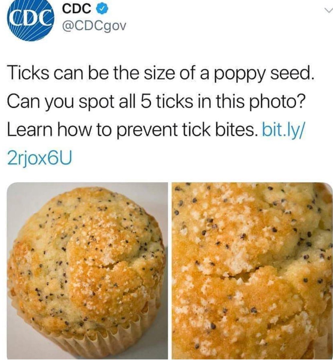 scientificext's tweet image. It is incredible how SMALL ticks can be! THOROUGH body checks after being outdoors is necessary to prevent Lyme Disease &amp;amp; other tick Bourne illnesses. Take the preventative measures &amp;amp; schedule your tick repellent treatment for your property. #LymeDiseaseAwarenessMonth #Longisland