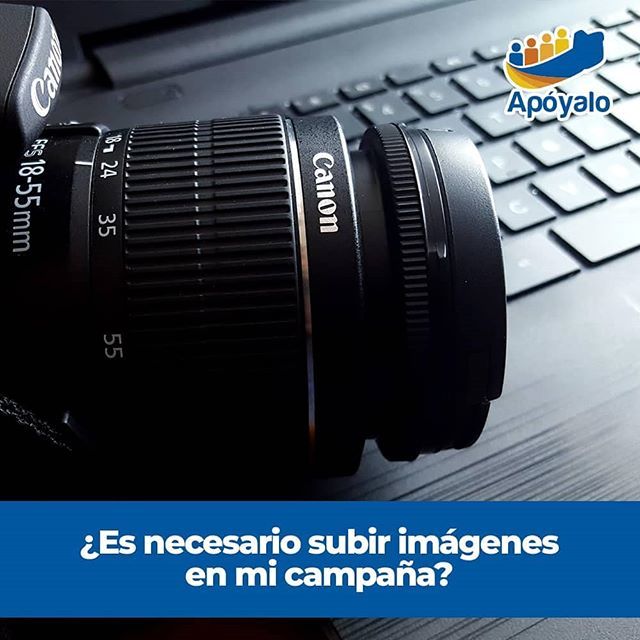 Apóyalo tweet media