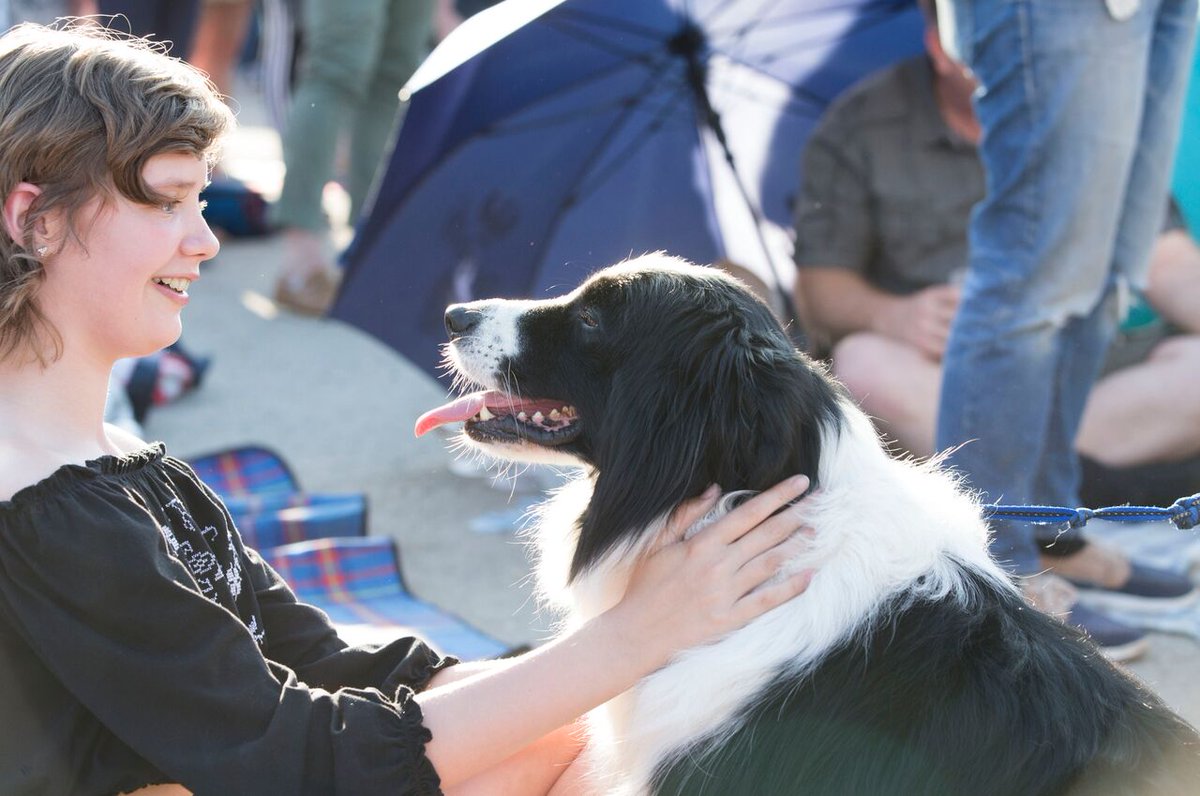 Throwback Thursday! Check out this dog having fun in the sun last weekend!
